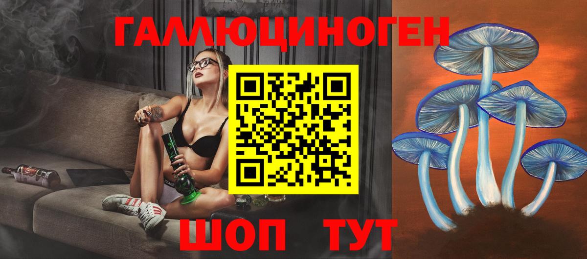 где найти   Вход с VPN  Псилоцибиновые грибы ЛСД  Тверь  Псилоцибиновые грибы мицелий 